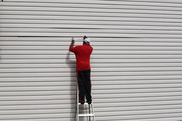 Best Brick Veneer Siding  in Woodsi East, DE