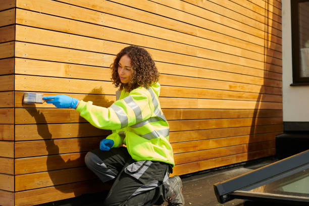 Best Custom Trim and Detailing for Siding  in Woodsi East, DE
